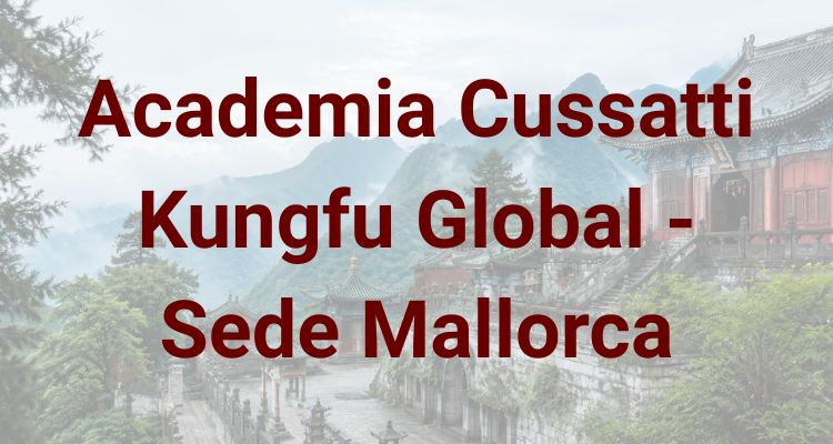 Academia Cussatti Kungfu Global - Sede Mallorca