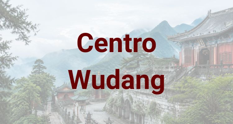 Centro Wudang