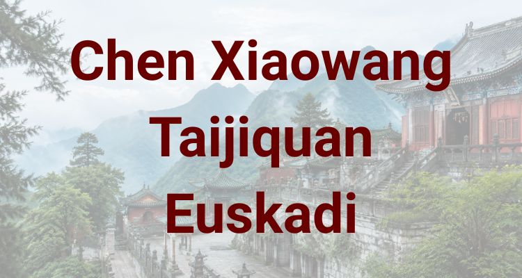 Chen Xiaowang Taijiquan Euskadi