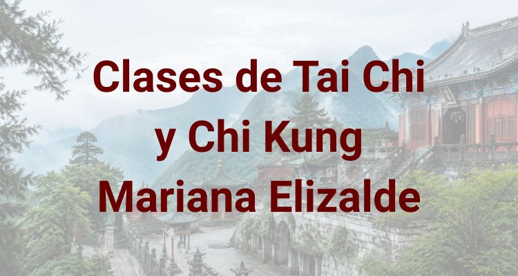 Mariana Elizalde Tai Chi