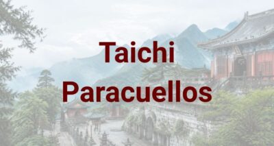 Taichi Paracuellos