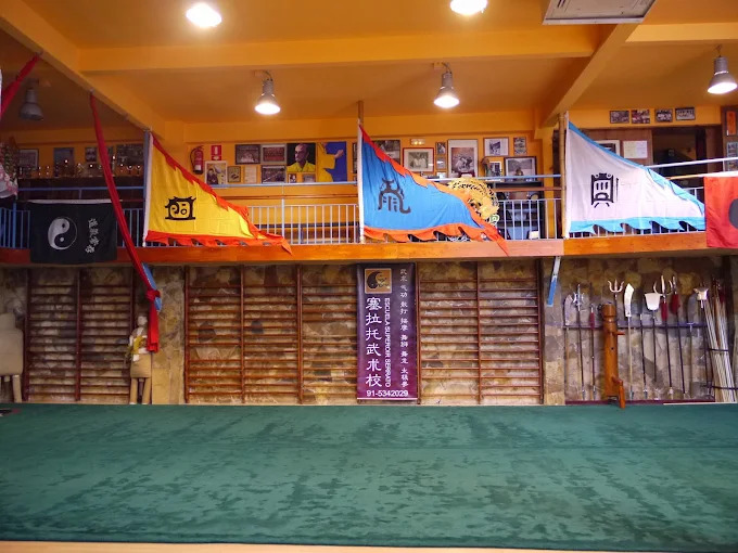 Escuela Superior Wudao