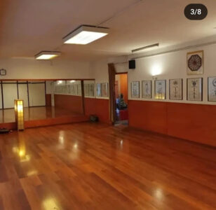 Instituto de Wu Shu