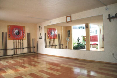 Instituto Mexicano de Kung Fu