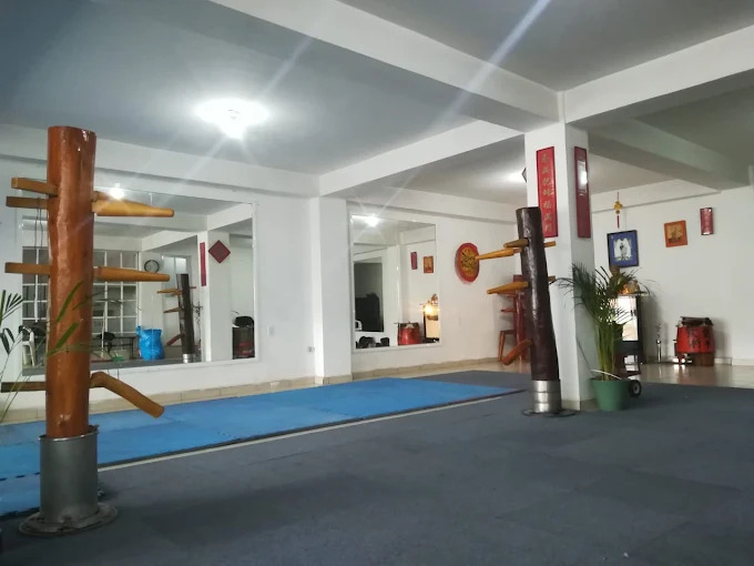 Kung Fu Evolution