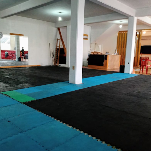 Templo Shaolin Colonia Pensil