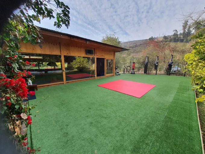 Chen Bing Taiji Academy Chile